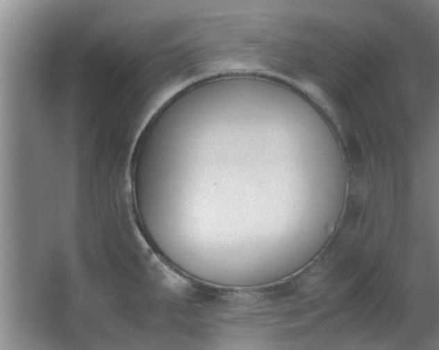 X0000066101287200603241508