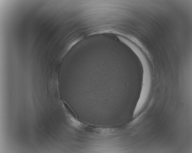 X0000066101289200603241508