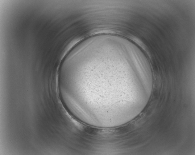 X0000066101290200603241508