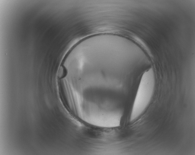 X0000066101291200603241508