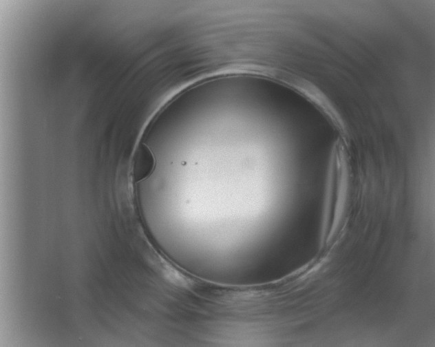 X0000066101292200603241508