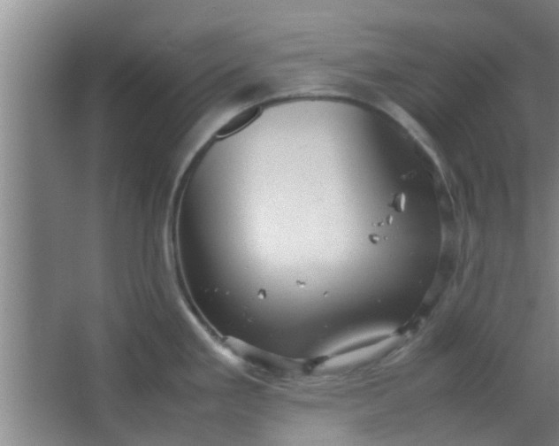 X0000066101293200603241508