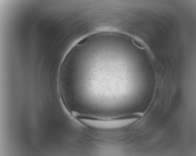 X0000066101295200603241508