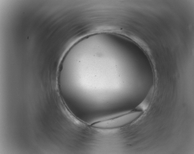 X0000066101296200603241508