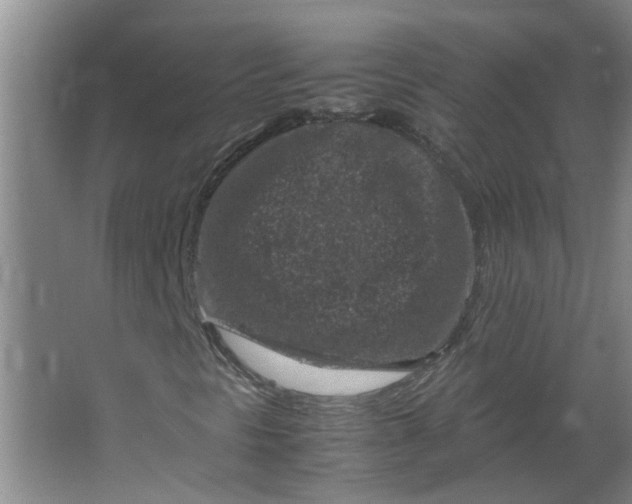 X0000066101297200603241507