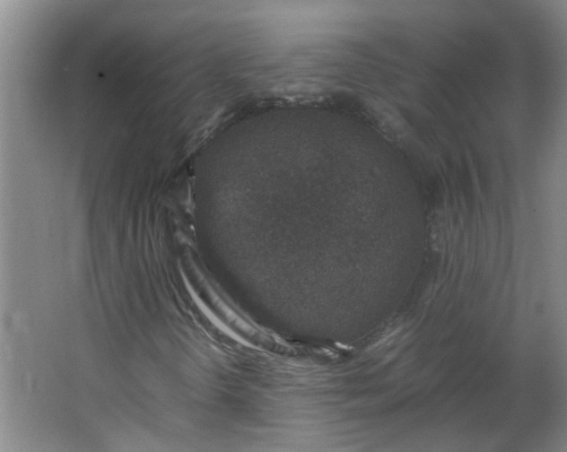 X0000066101298200603241507