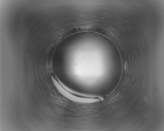 X0000066101299200603241507