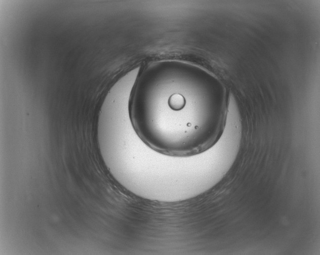 X0000066101300200603241507