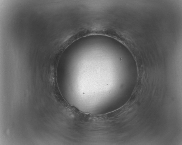 X0000066101301200603241507