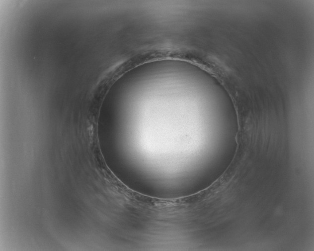 X0000066101302200603241507