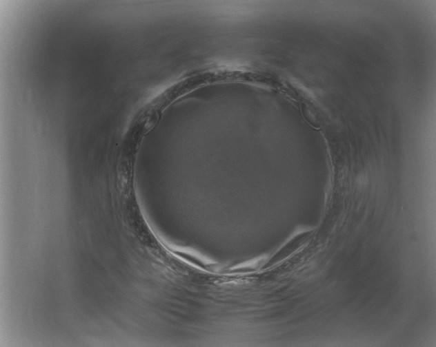 X0000066101303200603241507