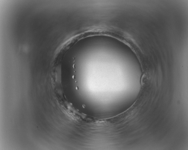 X0000066101304200603241508