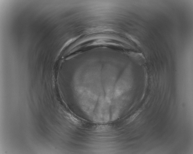 X0000066101306200603241508