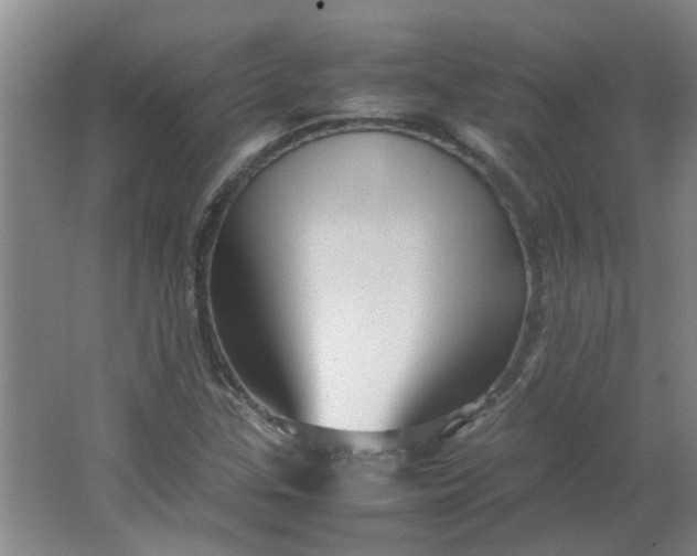 X0000066101307200603241508