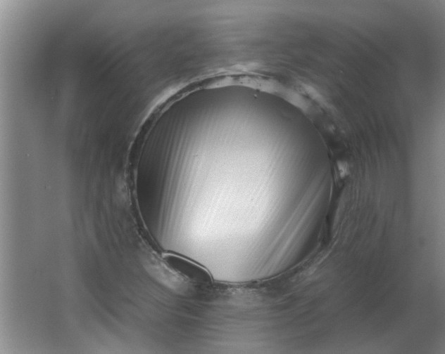 X0000066101308200603241508