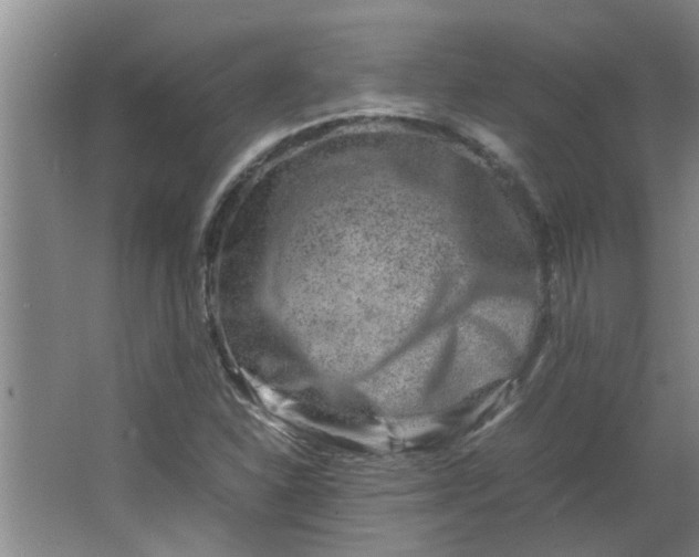 X0000066101310200603241508