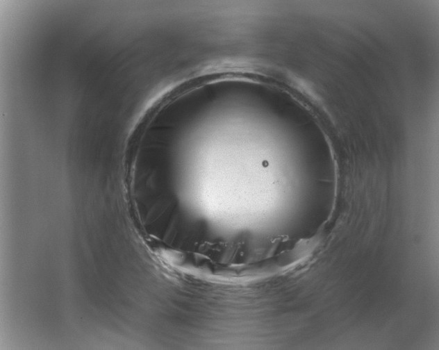 X0000066101312200603241508