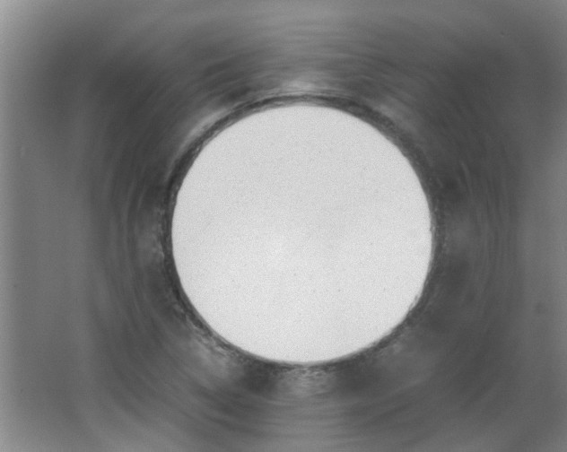 X0000066101314200603241508