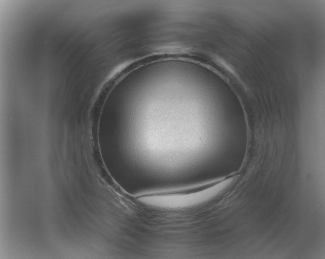 X0000066101315200603241508