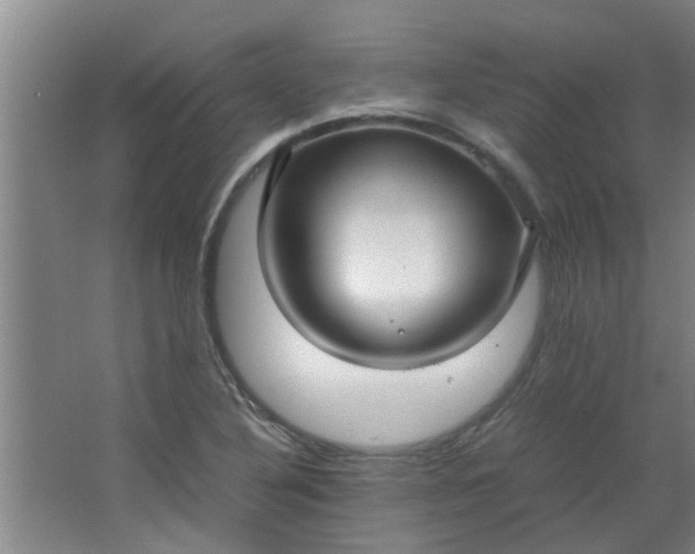 X0000066101316200603241508