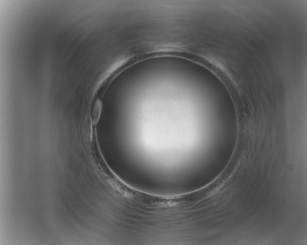 X0000066101317200603241508