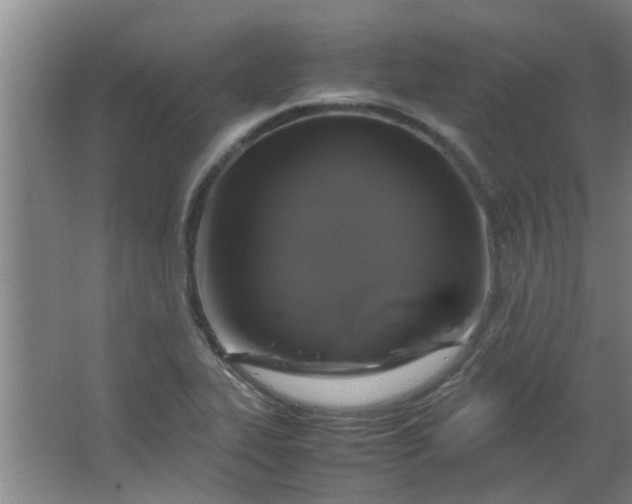 X0000066101319200603241508