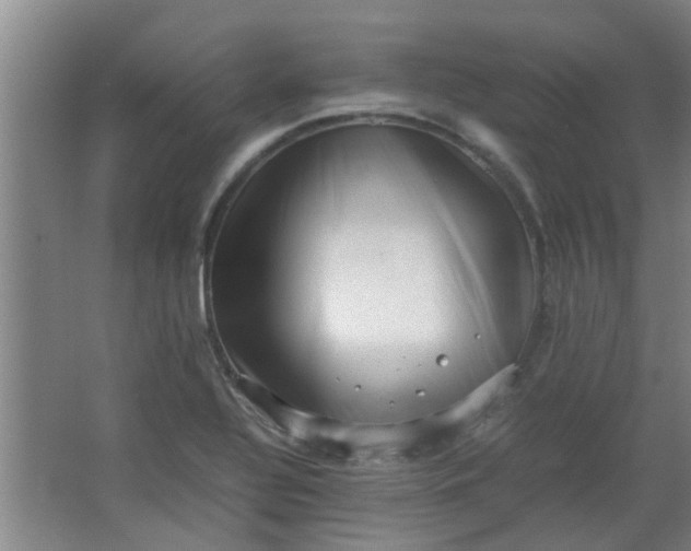 X0000066101320200603241508