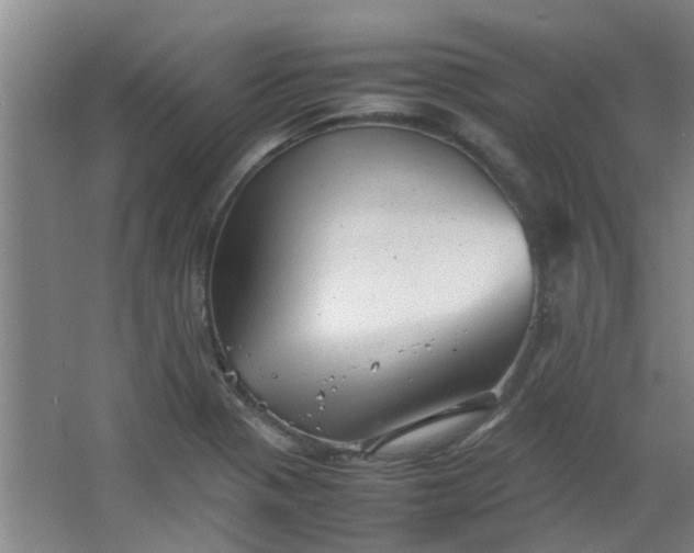 X0000066101321200603241508