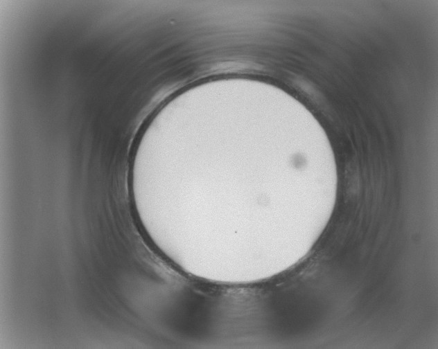 X0000066101322200603241508