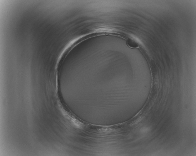 X0000066101323200603241508