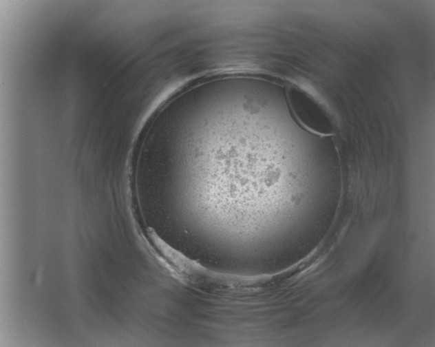 X0000066101325200603241508