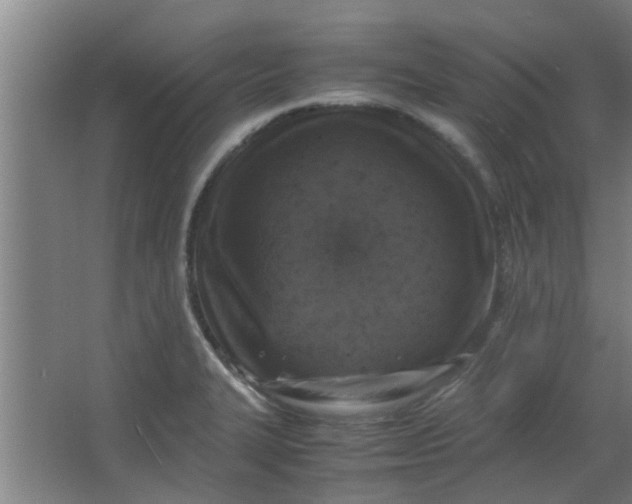 X0000066101327200603241508