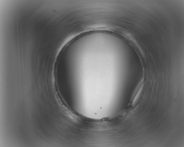 X0000066101328200603241508