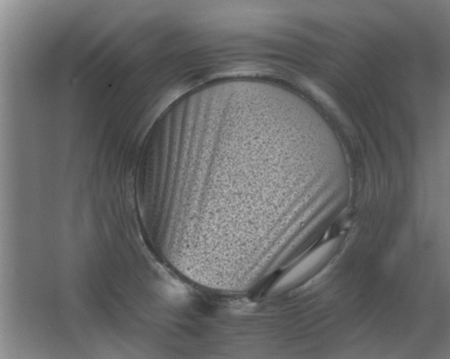 X0000066101329200603241508