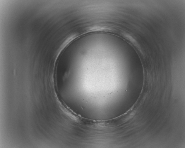 X0000066101330200603241508