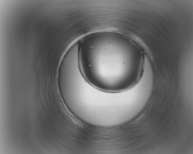 X0000066101332200603241508