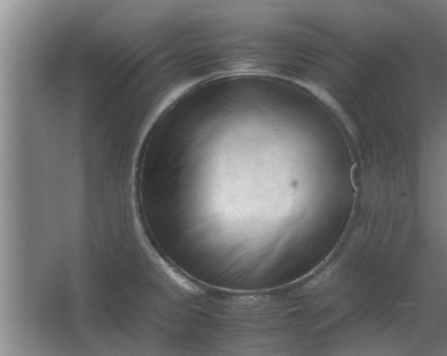 X0000066101333200603241508