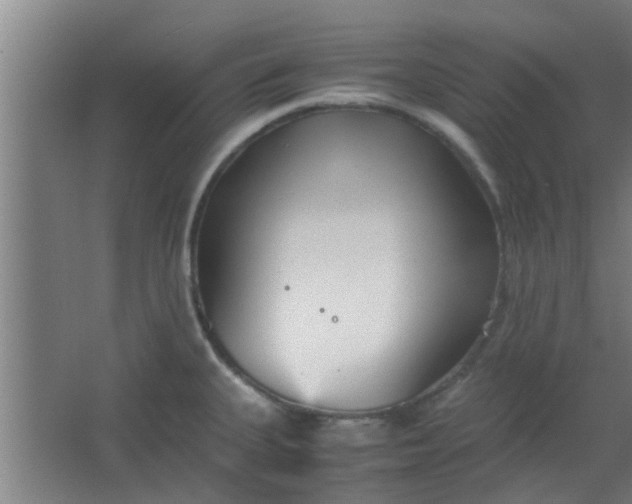 X0000066101335200603241508