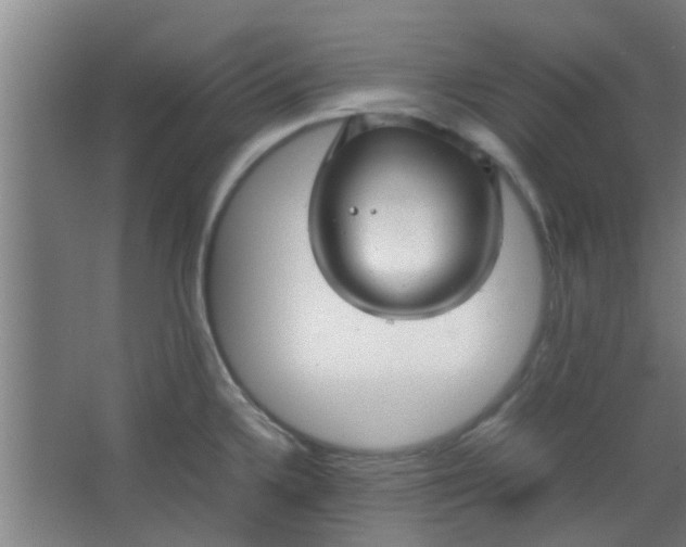 X0000066101336200603241508