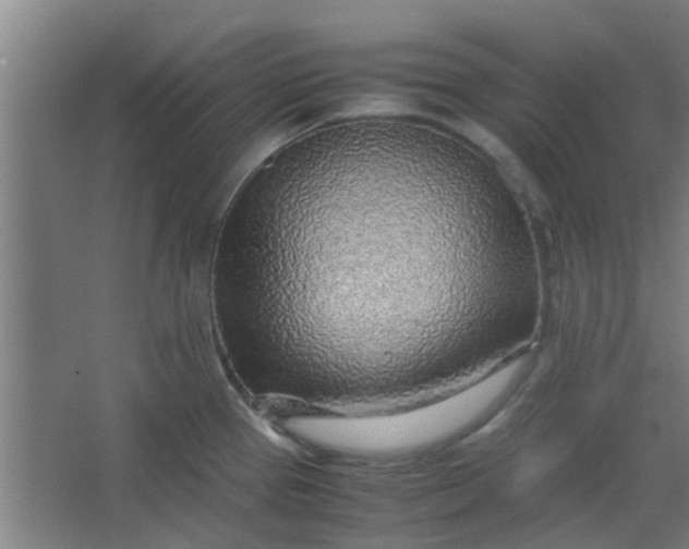 X0000066101337200603241508