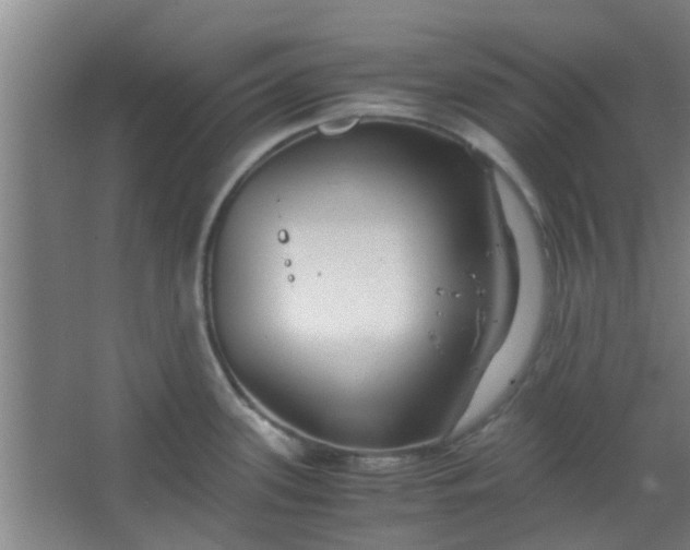 X0000066101339200603241508