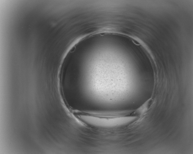 X0000066101341200603241508