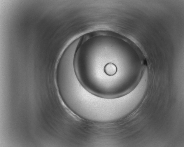 X0000066101342200603241508