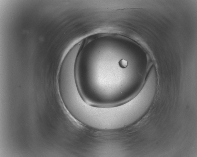 X0000066101344200603241508