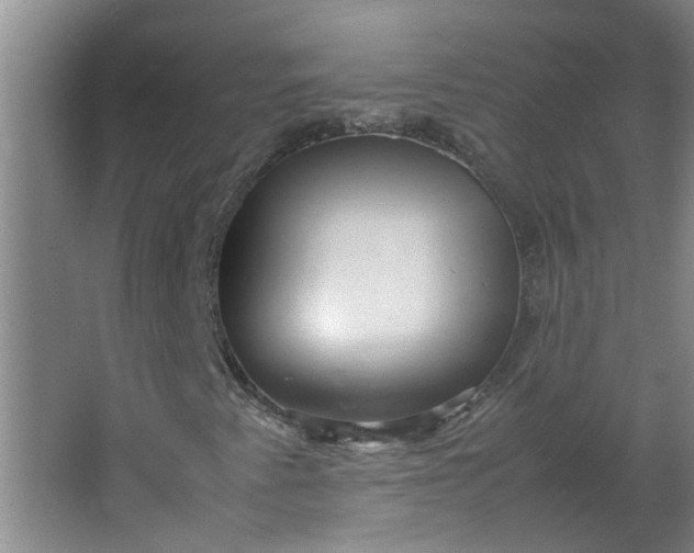 X0000066101345200603241507