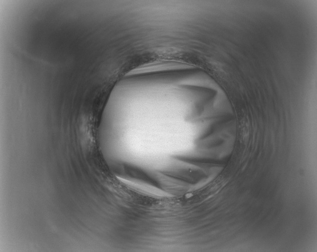 X0000066101346200603241507