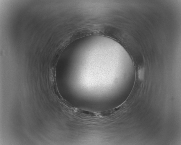 X0000066101347200603241507