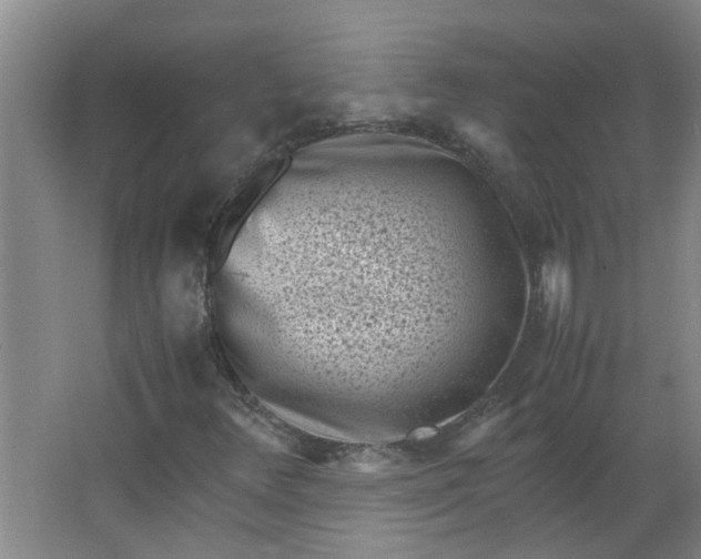 X0000066101348200603241507