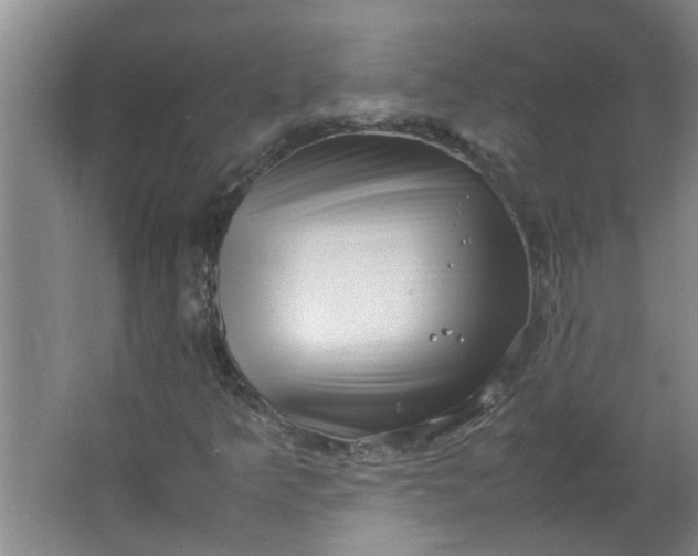 X0000066101349200603241507