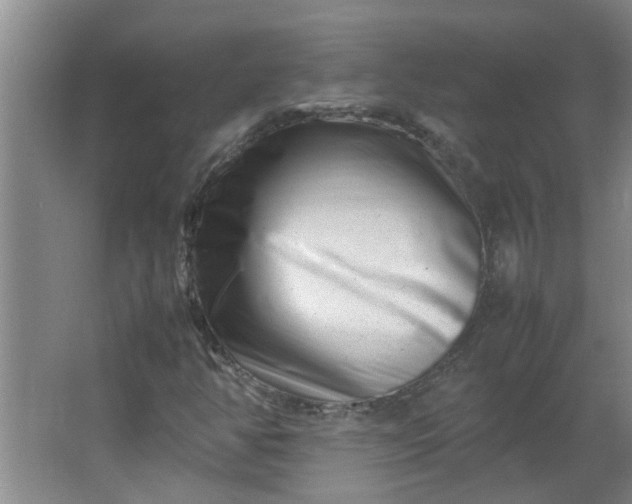 X0000066101350200603241507